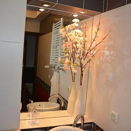 Miedziany Apartament Przy Palmiarni Apartment