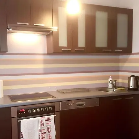 Miedziany Apartament Przy Palmiarni * Lodz